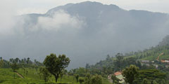 Ooty Dodabetta Peak